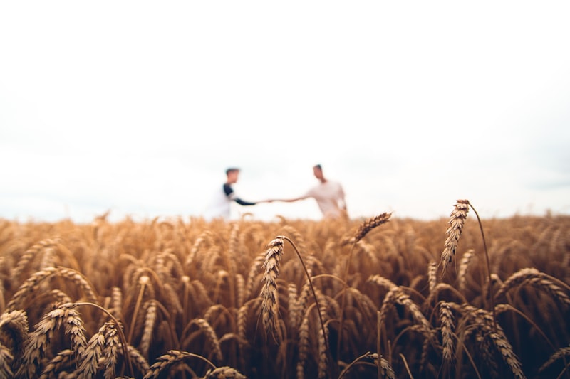 Agricultural landscape representing sustainable sourcing and supply